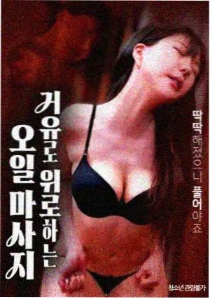 韩国高清大片免费观看在线 - 复仇者